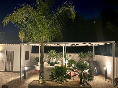 a palm tree on a patio at night at L'oasi Una Pineta Sul Mare in Custonaci