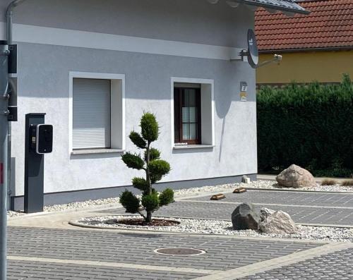 a small pine tree in a courtyard in front of a house at Ferienhaus _GlueckSEEligkeit_ in Großkoschen