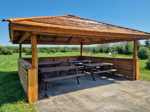 a wooden pavilion with benches and tables in a field at Vestbjerg Apartments in Vestbjerg
