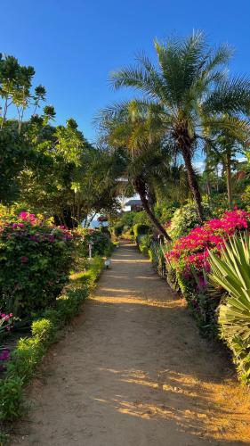 a dirt road with flowering plants and palm trees at Manga Soa Lodge in Fascène - Befefika