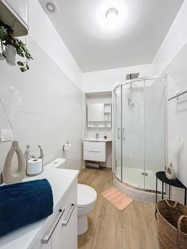 une salle de bain blanche avec douche et toilettes dans l'établissement Le Vendangeoir, à Épernay