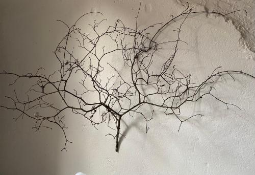 a painting of a branch on a wall at La maison sur la place in Penne-dʼAgenais