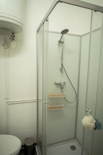 une douche dans une salle de bain avec toilettes dans l'établissement Confortable 3 pièces au centre de VIAS, à Vias