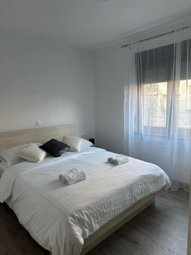 Apartments Rosetta Zara