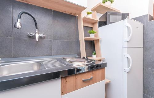 a kitchen with a sink and a refrigerator at Apartmani Vanja in Drage