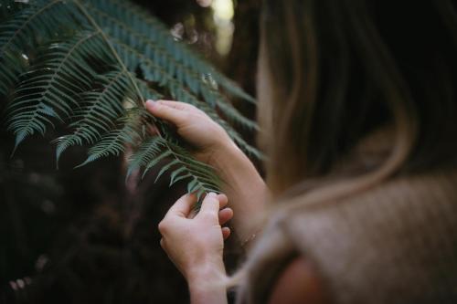 Clientes alojados en Treetop Tranquility at Rekindle Treehouses