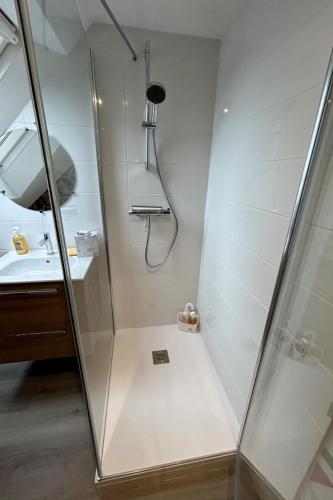 une douche avec une porte vitrée à côté d'un lavabo dans l'établissement Le Grand Paradis, à Dol-de-Bretagne