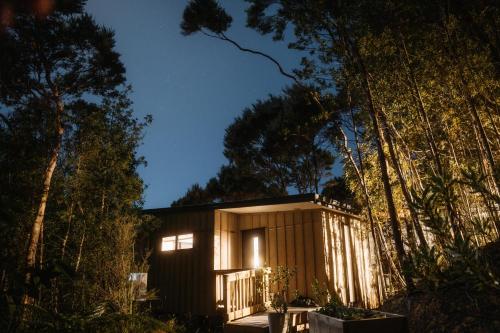 a small house in the woods at night at Treehouse Hideaway in Opua