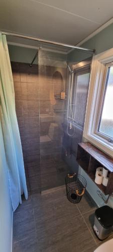 een badkamer met een douche, een toilet en een raam bij Svensk skovhytte 