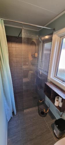 a bathroom with a shower with a toilet and a window at Svensk skovhytte in Norra Emmeboda
