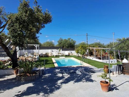 a swimming pool in a yard with a tree at Villa Andres in Sassari