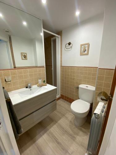 a bathroom with a toilet and a sink at Acogedor apartamento con piscina compartida y opción a parking in Jaca