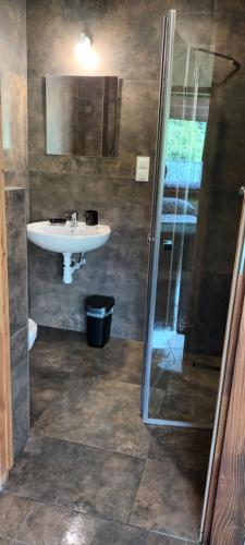 a bathroom with a sink and a shower at Noclegi Kamionka in Cisna