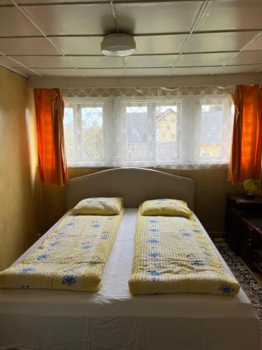 two beds in a small room with windows at Aliise Garden Guesthouse in Pärnu