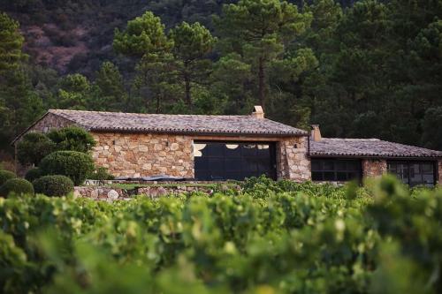 Bergerie dans les Vignes