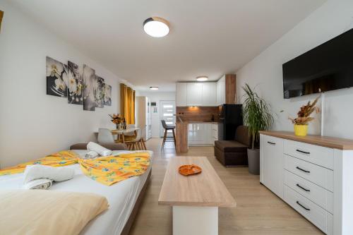 Apartment Franka