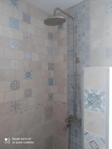une douche avec une porte vitrée dans une salle de bain dans l'établissement Charmant Appartement 2 pièces avec extérieur, à Dijon