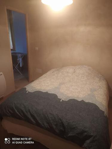 - une chambre avec un lit et une couverture noire dans l'établissement Charmant Appartement 2 pièces avec extérieur, à Dijon