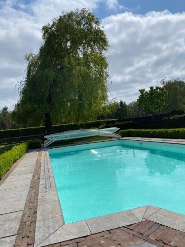 a large blue swimming pool with a tree in the background at Met de Kippen op Stok - Vakantiehuisjes in Baexem