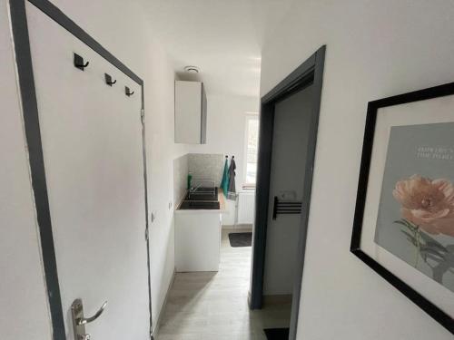 un couloir menant à une cuisine ornée d'une peinture murale. dans l'établissement Proche Citadelle & Quartier Saint-leu, à Amiens