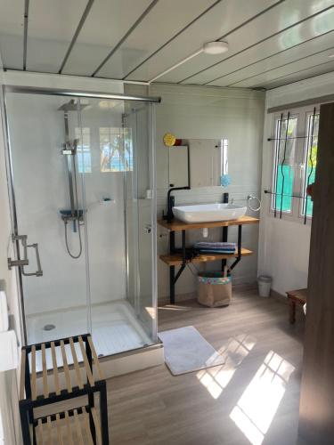 een badkamer met een douche en een wastafel bij Tilakaz Kreol in Pointe d'Esny