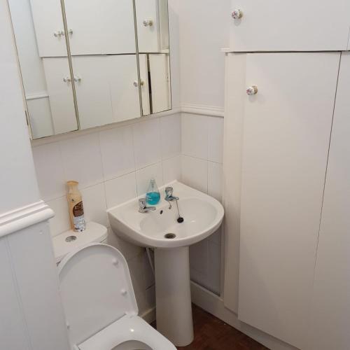 a white bathroom with a toilet and a sink at Alastrean Flat in Aberdeen