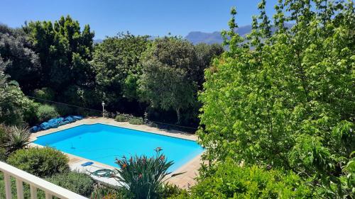 una vista aérea de una piscina en un patio con árboles en Alba House Guest House, en Paarl