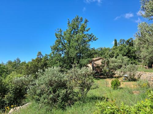 une vieille maison au milieu d'un champ arboré dans l'établissement Bastidon provençal off-grid, à Salernes