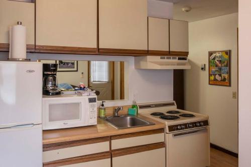 a kitchen with a white refrigerator and a sink at The Keuka Suite 3 in Hammondsport