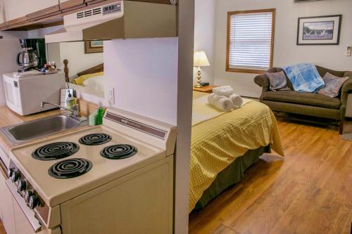 a kitchen with a stove and a sink in a room at The Keuka Suite 3 in Hammondsport