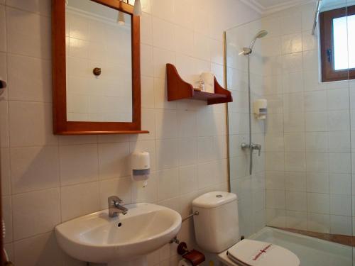 ein Bad mit einem Waschbecken, einem WC und einer Dusche in der Unterkunft Apartamento Remoña 2 in Espinama