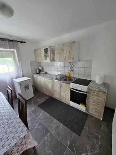 una cucina con lavandino e piano cottura di Apartman Mile a Smoljanac
