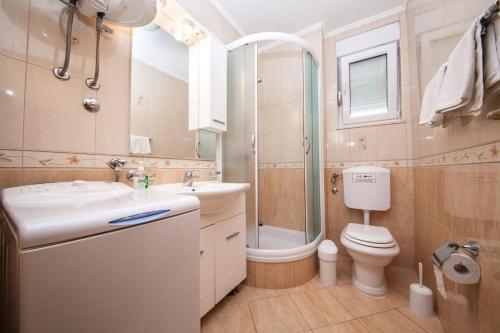 een badkamer met een wastafel, een toilet en een douche bij Vila Promajna 3 in Promajna