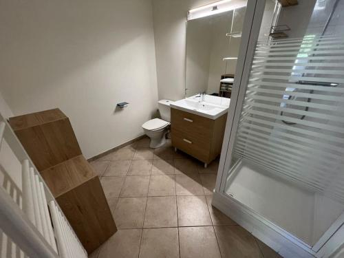 une salle de bain avec une douche, des toilettes et un lavabo dans l'établissement Location entre mer, montagne et rivières, à Casanova