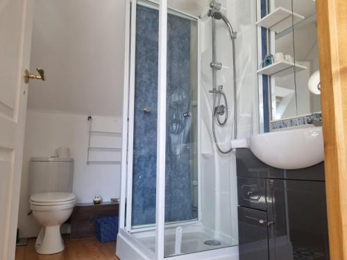 a bathroom with a shower and a sink and a toilet at Roscoff Santec Maison Mer Bretagne in Santec