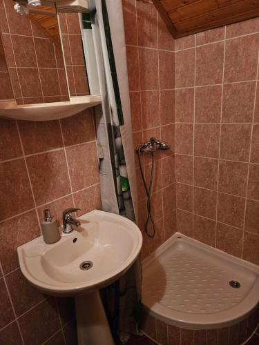 Afbeelding uit fotogalerij van Apartman Mile - Holiday house in Smoljanac