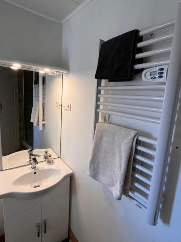 La salle de bains est pourvue d'un lavabo, d'un miroir et d'une serviette. dans l'établissement Appartement Alès, à Alès