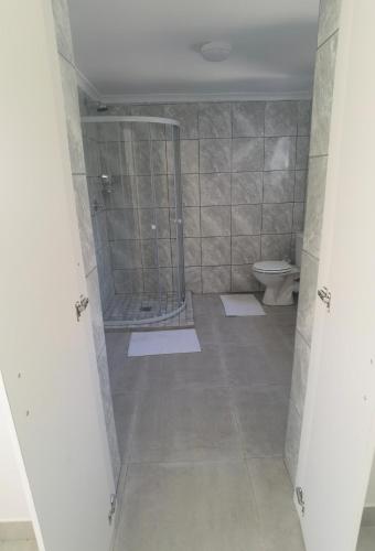 a bathroom with a shower and a toilet at The Somerset nest in Cape Town
