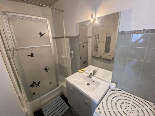 une salle de bain avec un lavabo et une douche avec des oiseaux dessus dans l'établissement Appartement Quartier Arago - Clocher St Pierre - 500m de la plage, à Les Sables-dʼOlonne