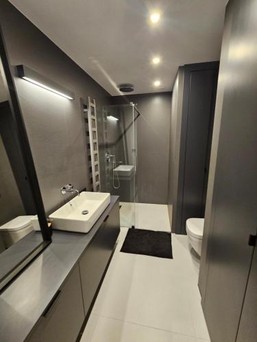 une salle de bain avec un lavabo et des toilettes dans l'établissement Apartament Morskie zacisze Darłówko, à Darłówko