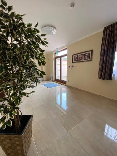 a living room with a plant in a pot at Kevevára Vendégház in Ráckeve