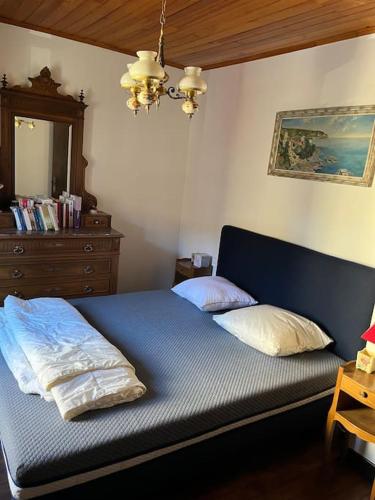 - une chambre avec un lit bleu et 2 oreillers dans l'établissement Maison cévenole typique et son jardin suspendu, à Lasalle