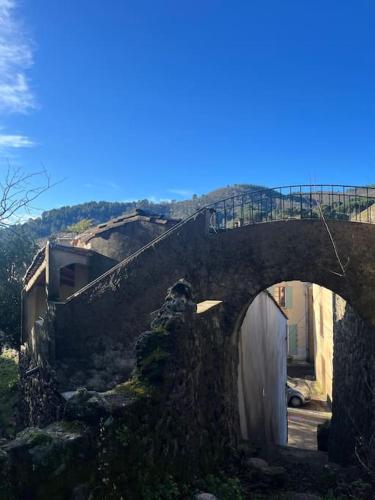 Maison cévenole typique et son jardin suspendu