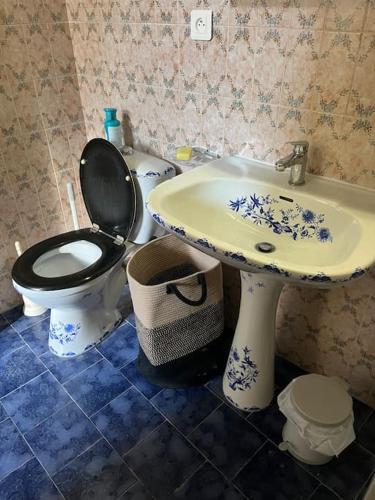une salle de bain avec toilettes et lavabo dans l'établissement Maison cévenole typique et son jardin suspendu, à Lasalle