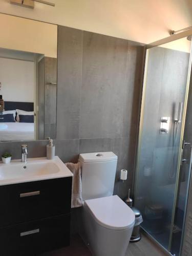 a bathroom with a toilet and a sink and a shower at T2 duplex Avenida in Vila Real