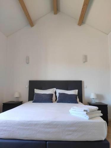 a bedroom with a large bed with blue pillows at T2 duplex Avenida in Vila Real