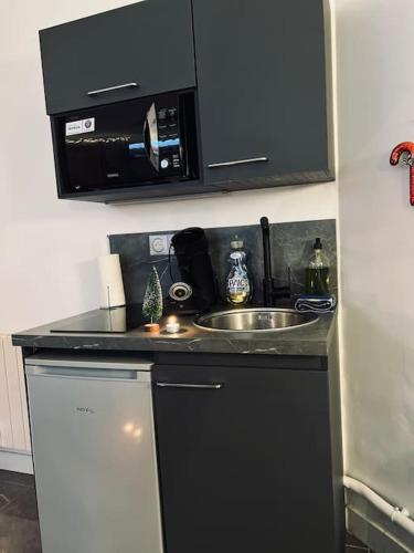 un comptoir de cuisine avec un évier et un micro-ondes dans l'établissement L'Olympe, à Chamalières