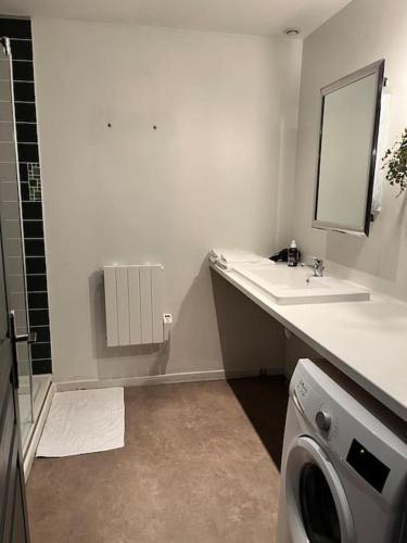 une salle de bain avec un lavabo et une machine à laver dans l'établissement Loft en duplex 4 voyageurs Proche cathédrale, à Reims