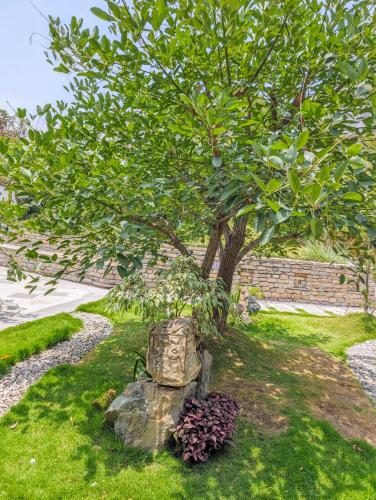 Jardín al aire libre en Uma Residency