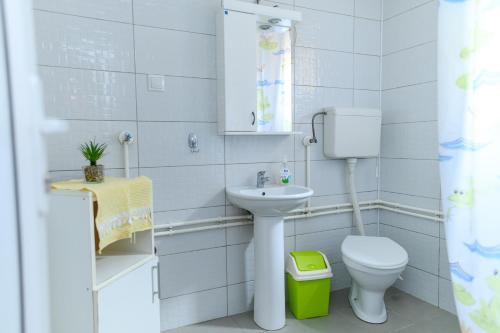 a white bathroom with a toilet and a sink at Vila Misljenovic, u centru Sokobanje, na pesackoj zoni in Soko Banja